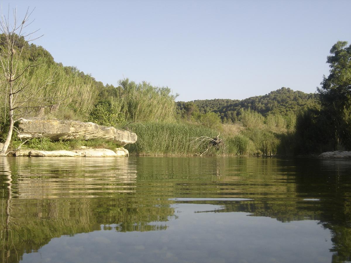 Hostal Casa Laure Y Mª Jose Arens de Lledo ภายนอก รูปภาพ